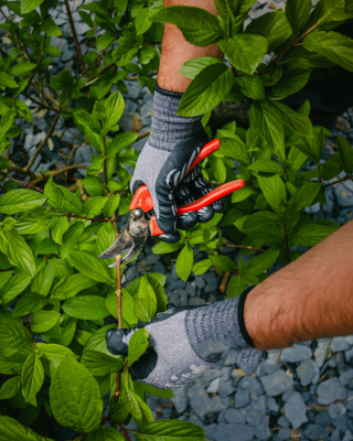 Domicile clean jardin février 2026