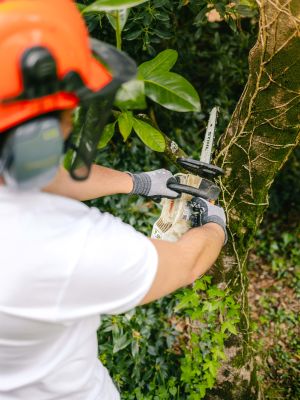 🌱 En mars, le jardin ne se prépare plus seulement… il se lance.